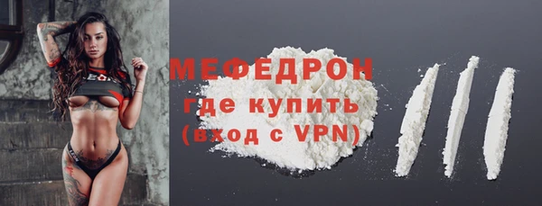 индика Зеленодольск