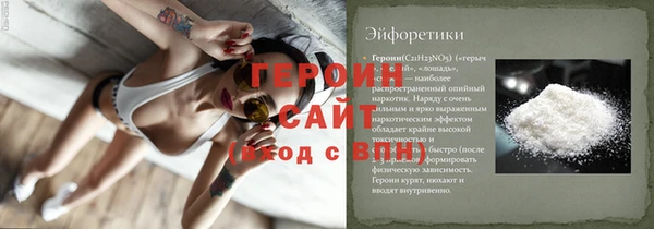 индика Зеленодольск