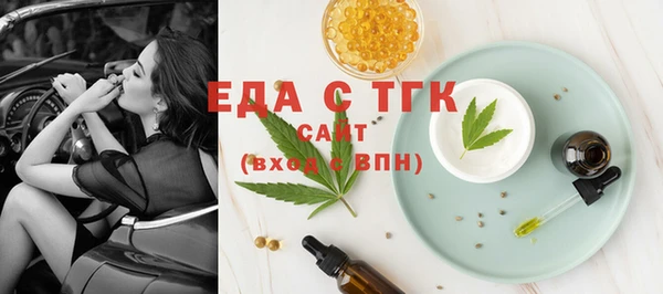 индика Зеленодольск