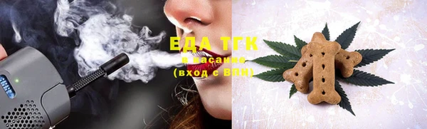 индика Зеленодольск