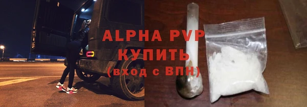 индика Зеленодольск