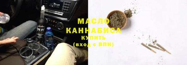 индика Зеленодольск