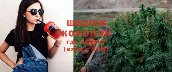 индика Зеленодольск