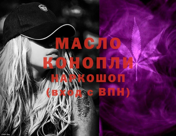 индика Зеленодольск