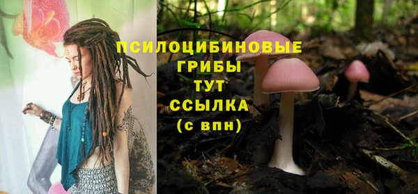 гидропоника Зерноград