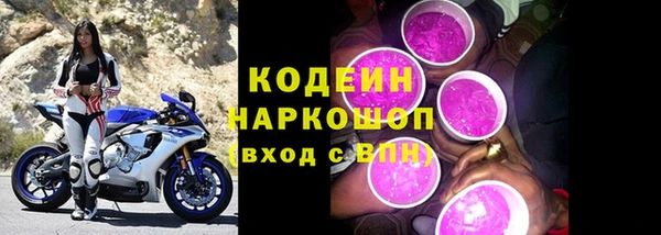индика Зеленодольск