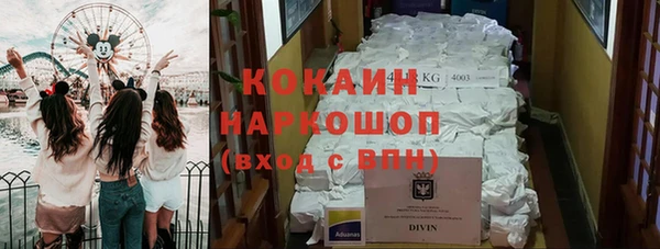 индика Зеленодольск