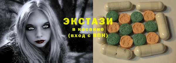 индика Зеленодольск
