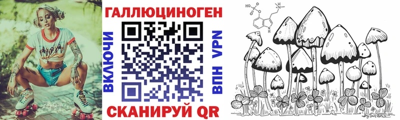 Псилоцибиновые грибы Psilocybine cubensis  Купить где  Дрезна 
